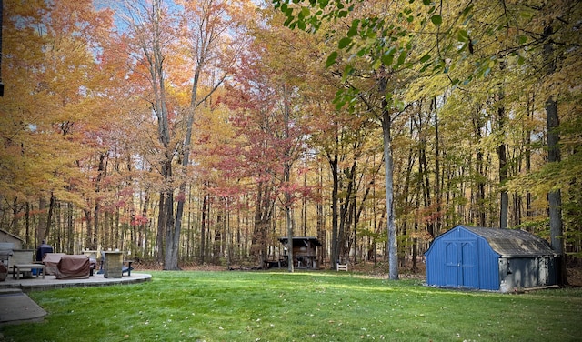 view of yard with a shed and a patio area