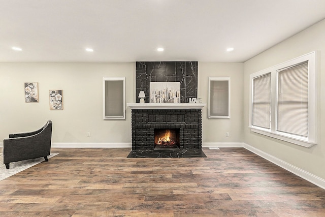 living room featuring a fireplace and wood-type flooring