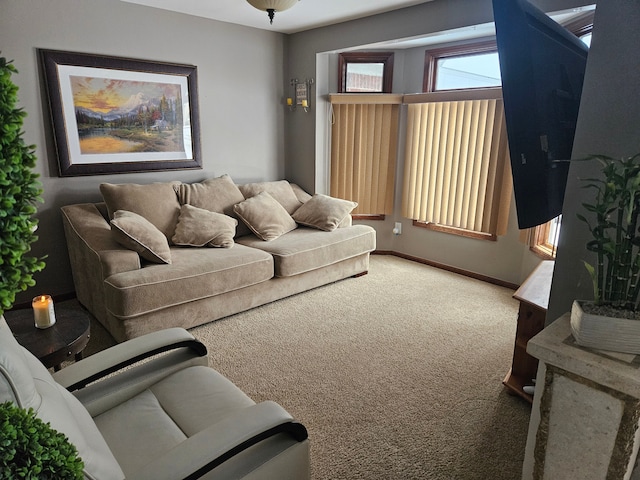 living room with carpet