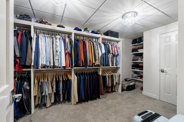 spacious closet with an inviting chandelier and carpet flooring