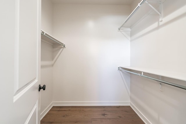 walk in closet with dark hardwood / wood-style flooring