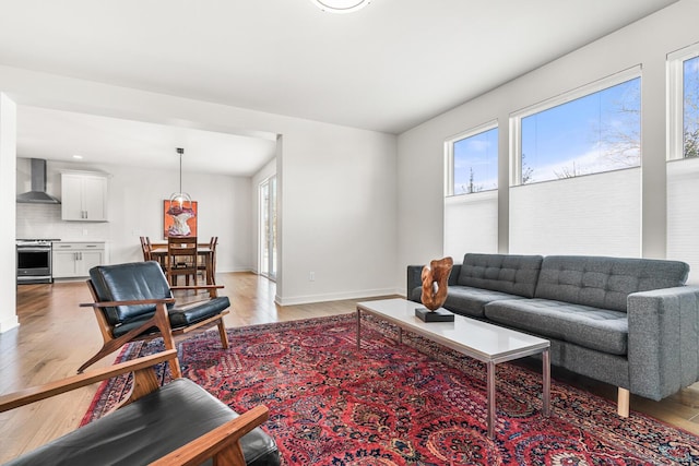 living room featuring light hardwood / wood-style floors