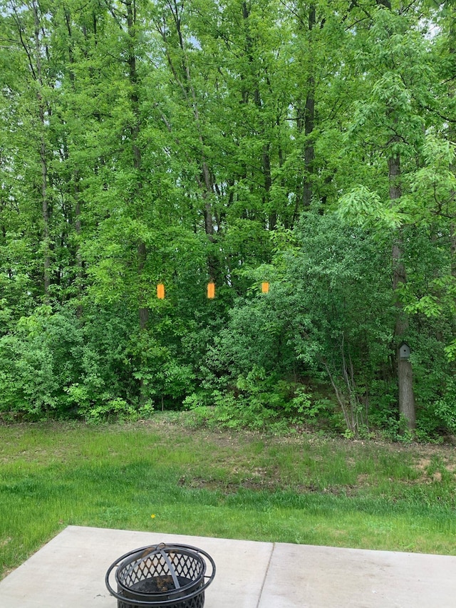 view of yard with a patio area and a fire pit