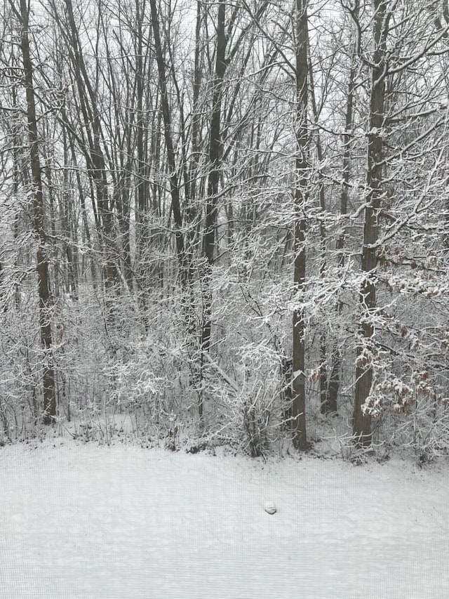 view of snow covered land