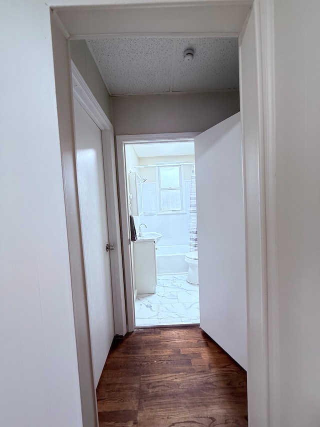 hallway featuring sink and dark hardwood / wood-style flooring