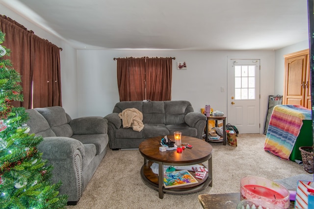 living room with carpet