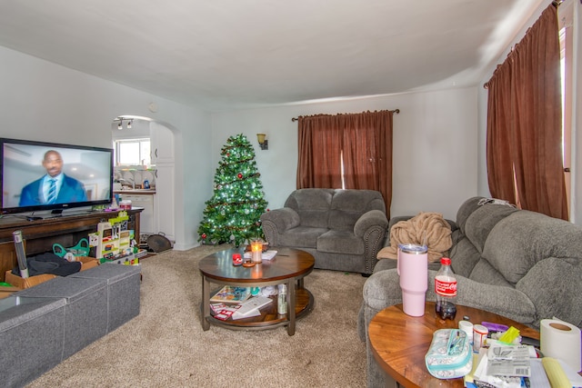 view of carpeted living room