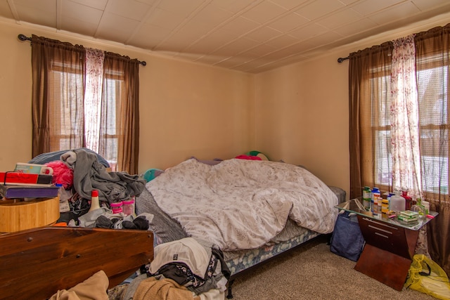 bedroom with carpet floors