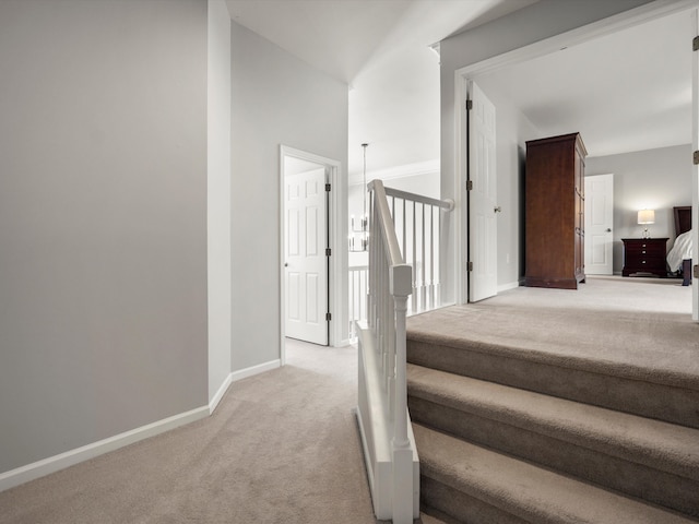 staircase featuring carpet flooring