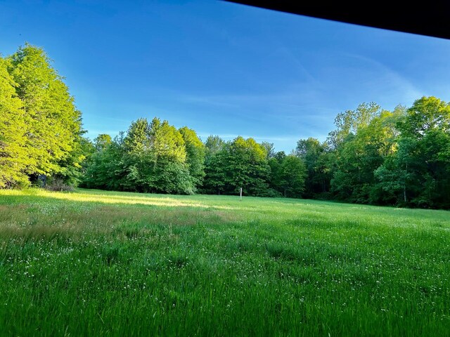 1084 38th St, Allegan, MI 49010 - view of yard