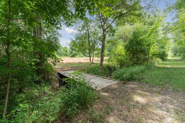 1084 38th St, Allegan, MI 49010 - view of yard