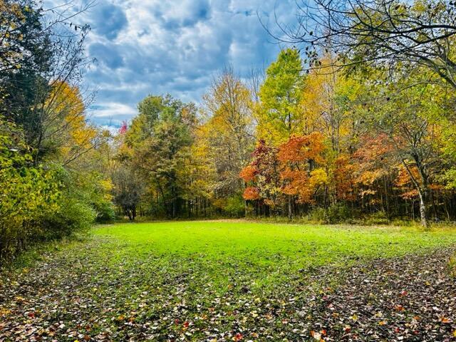 1084 38th St, Allegan, MI 49010 - view of yard