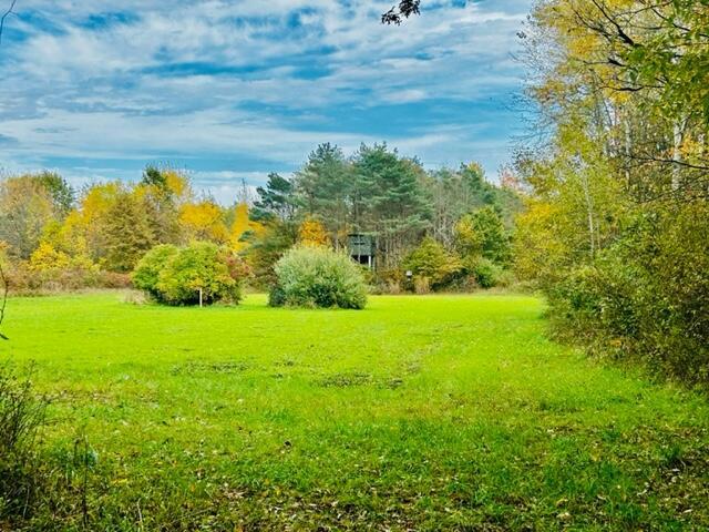 1084 38th St, Allegan, MI 49010 - view of yard