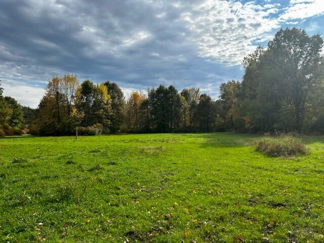 1084 38th St, Allegan, MI 49010 - view of yard