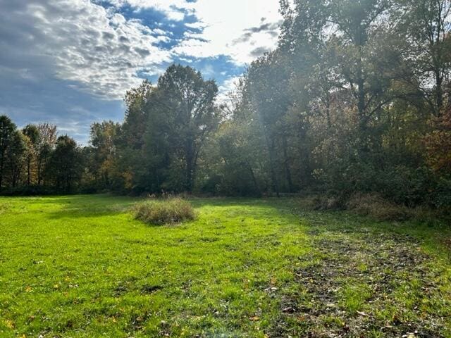 1084 38th St, Allegan, MI 49010 - view of yard