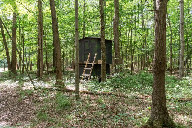 1084 38th St, Allegan, MI 49010 - view of outdoor structure