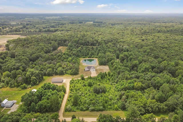 1084 38th St, Allegan, MI 49010 - birds eye view of property