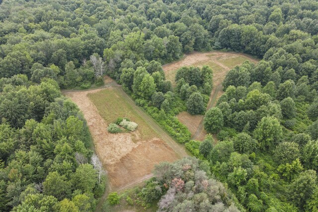 1084 38th St, Allegan, MI 49010 - aerial view