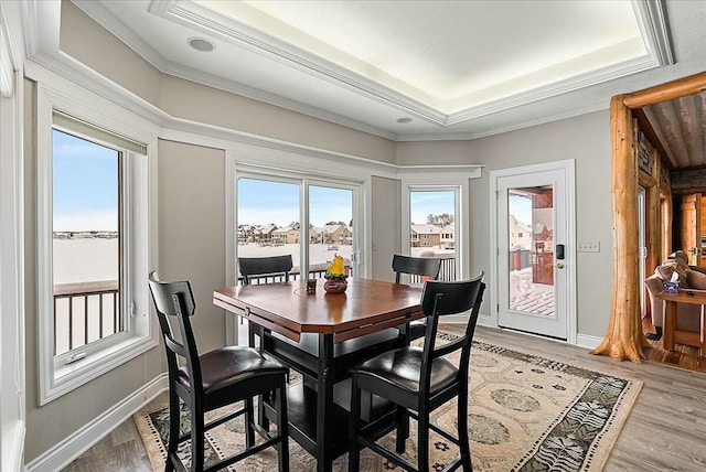 dining room featuring crown molding, light hardwood / wood-style flooring, and a healthy amount of sunlight