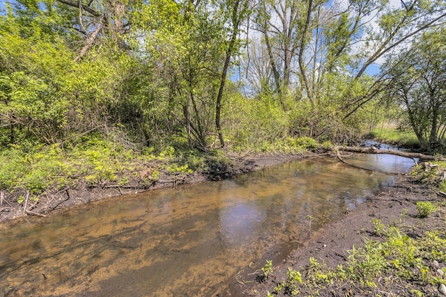 12900 Kalmbach Rd, Grass Lake, MI 49240 - water view