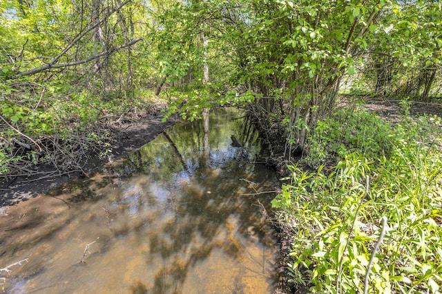 12900 Kalmbach Rd, Grass Lake, MI 49240 - view of undeveloped land