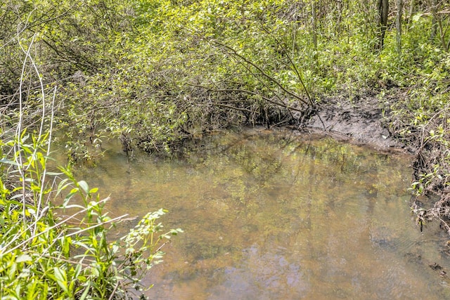 12900 Kalmbach Rd, Grass Lake, MI 49240 - view of nature
