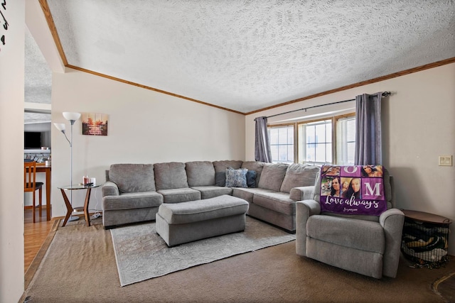 living room featuring ornamental molding, carpet, and a textured ceiling