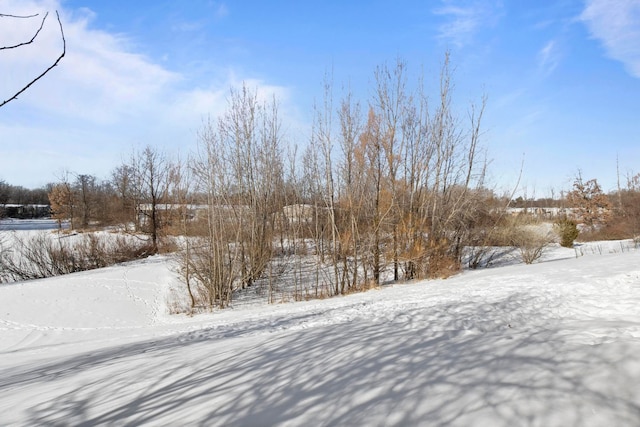 view of snowy yard