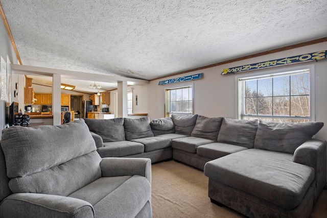 living room with ornamental molding, light colored carpet, and a textured ceiling