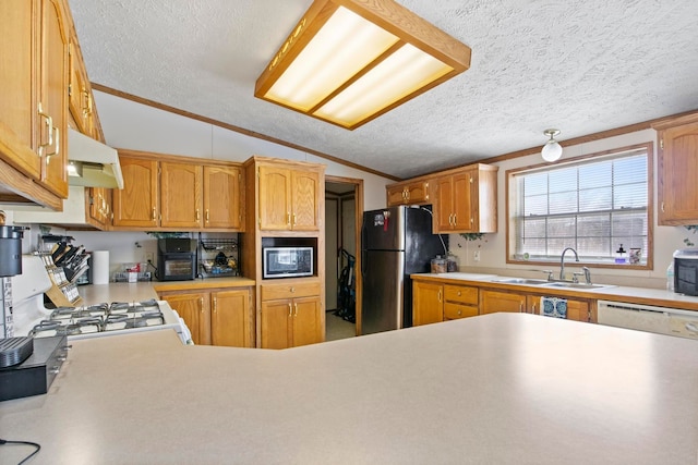 kitchen featuring vaulted ceiling, stainless steel refrigerator, white gas range, sink, and kitchen peninsula