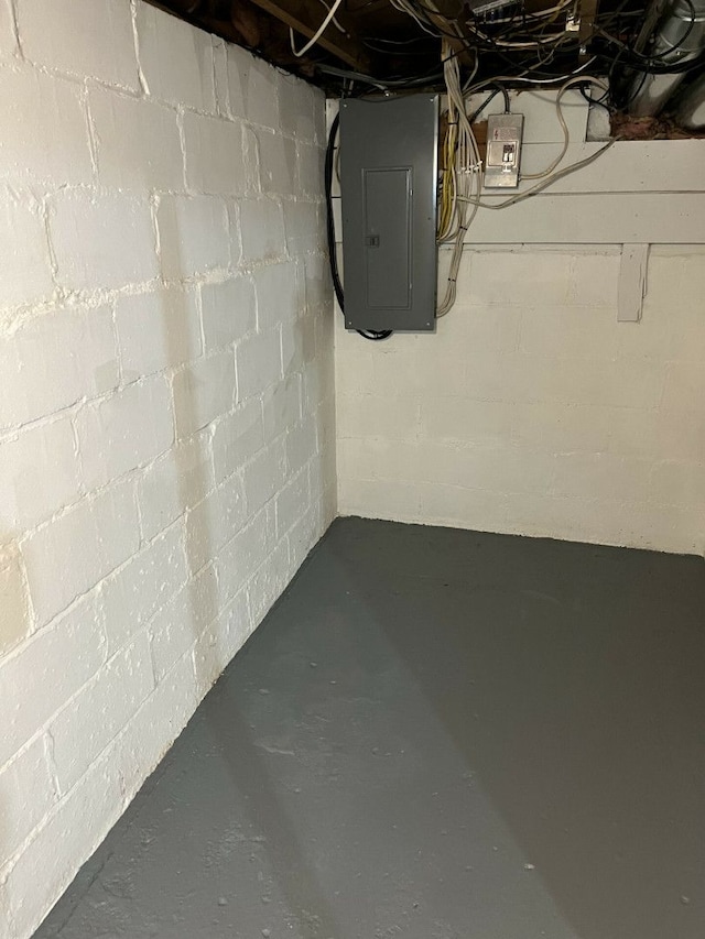 basement with electric panel