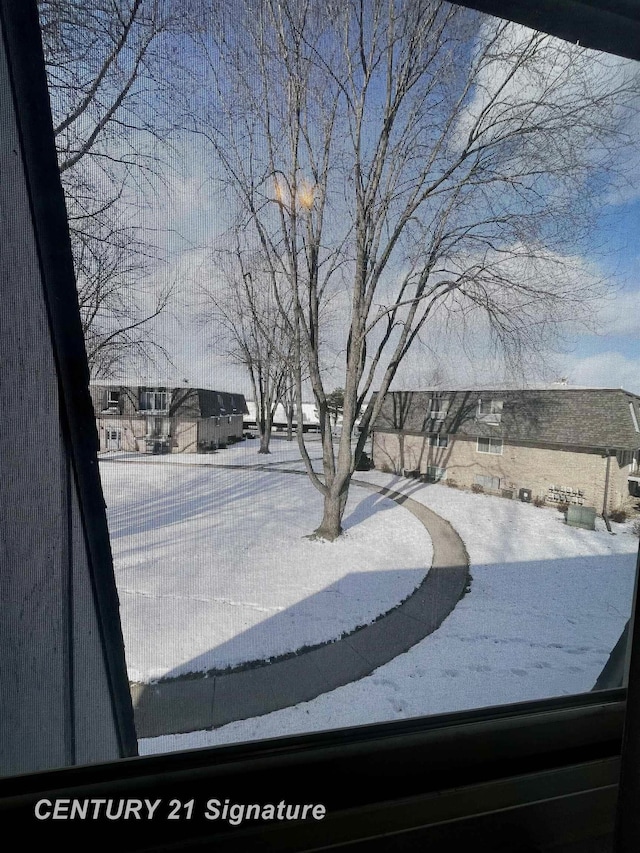 view of yard covered in snow