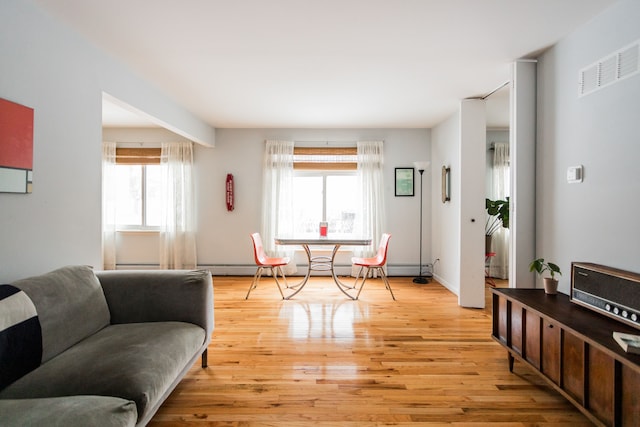 living room featuring a healthy amount of sunlight and light hardwood / wood-style floors