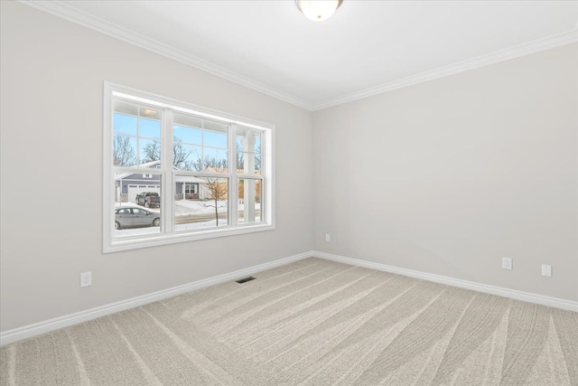 spare room featuring ornamental molding and carpet