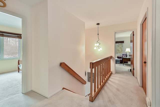 corridor featuring light colored carpet