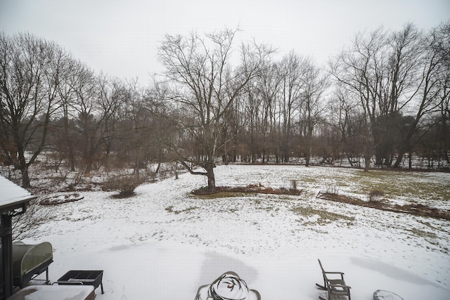 view of yard covered in snow