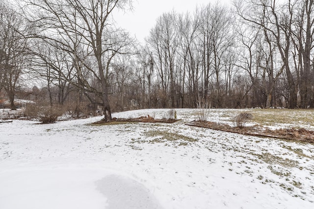 view of yard covered in snow