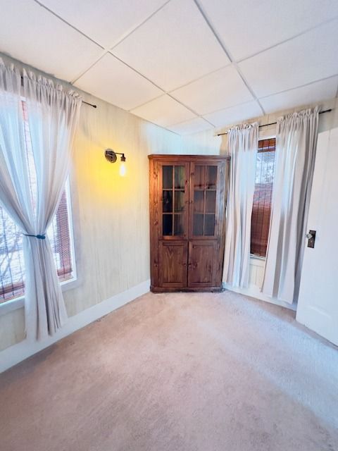 carpeted empty room featuring plenty of natural light and a paneled ceiling