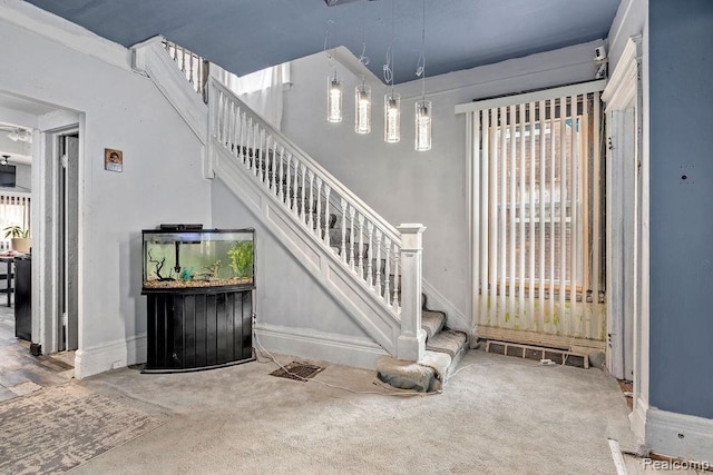 staircase featuring carpet