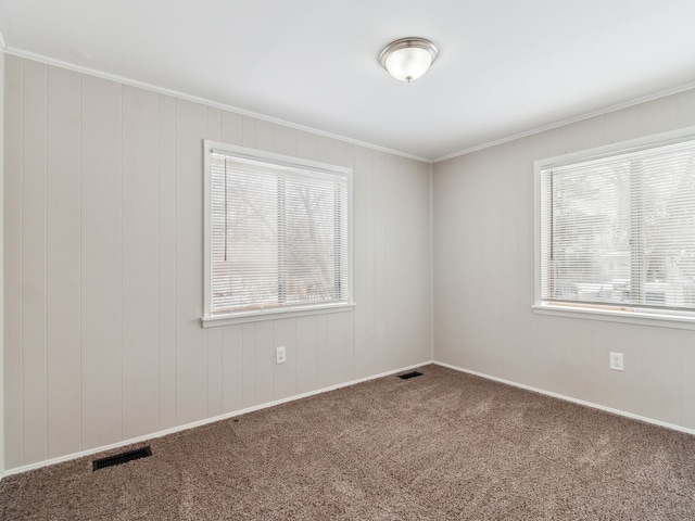 carpeted empty room featuring a healthy amount of sunlight