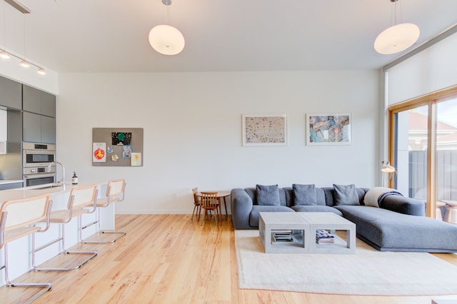 living room featuring light wood-type flooring