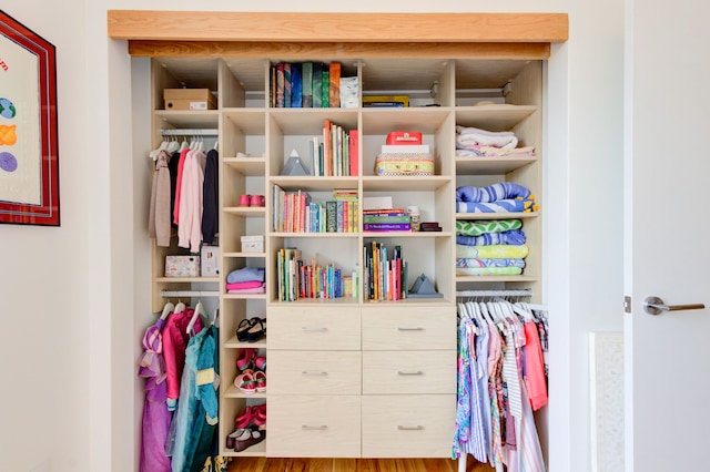 view of closet