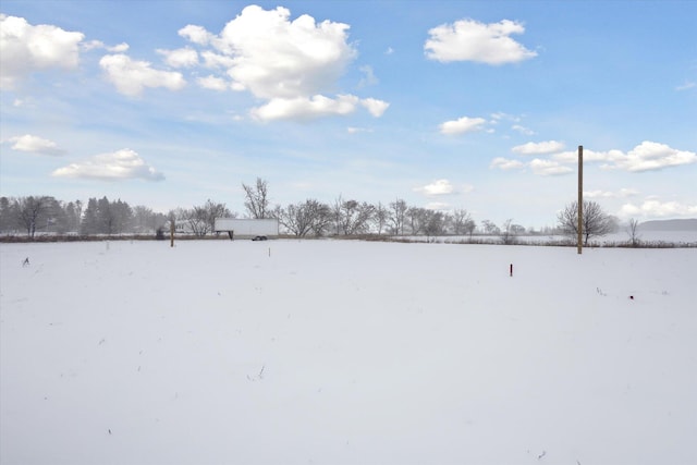 view of yard layered in snow