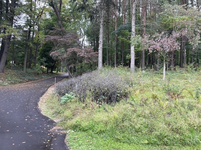 view of landscape