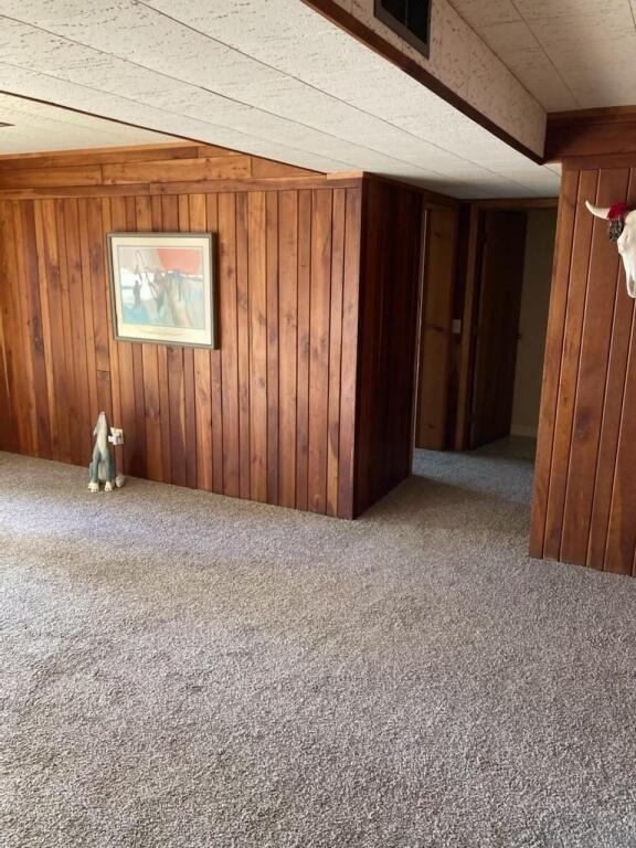 carpeted spare room with wooden walls