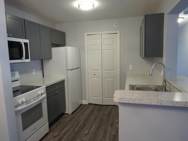 kitchen with gray cabinetry, sink, white appliances, and dark hardwood / wood-style flooring