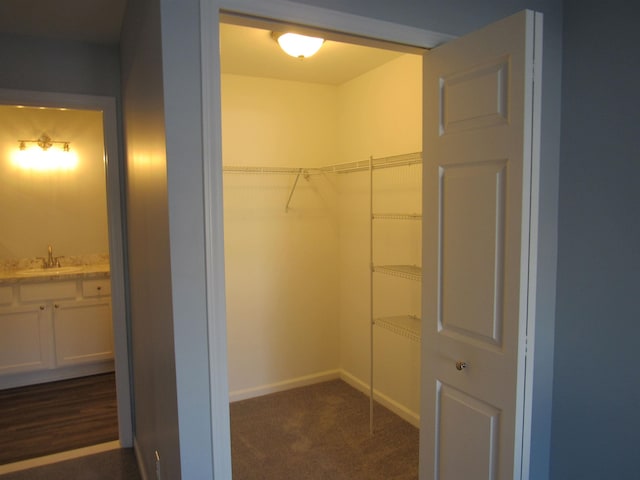 spacious closet with sink and dark colored carpet