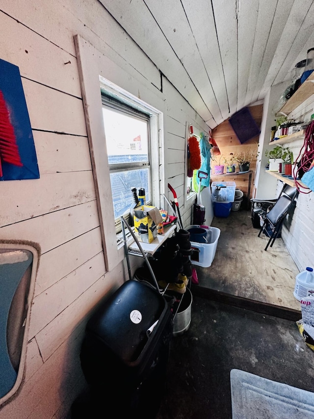 garage featuring wood walls