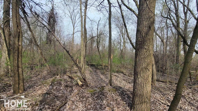 VAC N Brookfield St, Durand, MI 48429