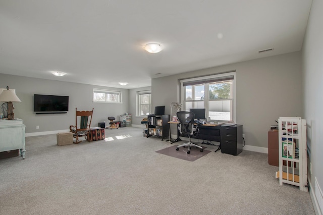 office area featuring carpet